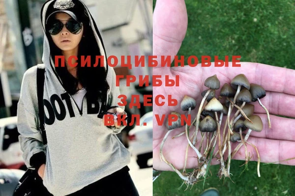 твердый Богородицк
