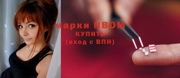 spice Богородск