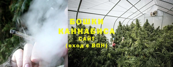 твердый Богородицк