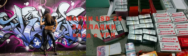 спайс Бородино