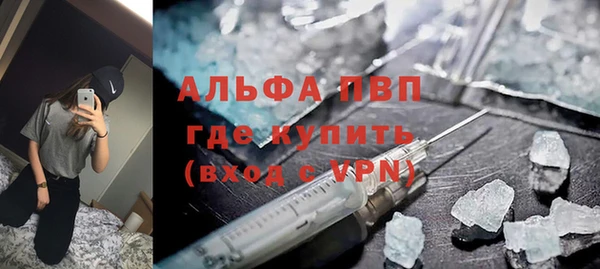 spice Богородск