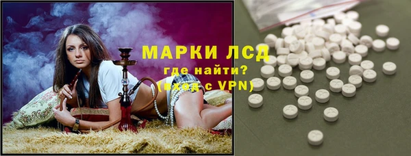 spice Богородск