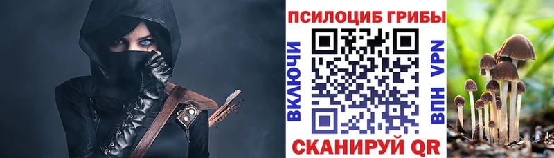 Псилоцибиновые грибы Cubensis цены наркотик Горнозаводск